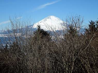 乙女峠から富士山