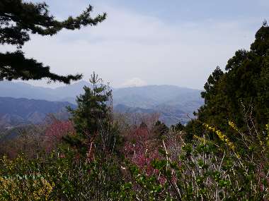 城山山頂からの富士山
